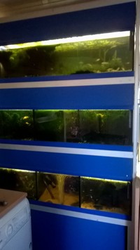 4FT TANK RACK john allen