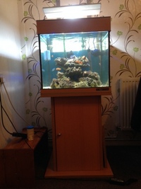 FISH TANK AQUA MEDIC CHROMIS FOR SALE £50.00