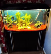 fishtank & stand