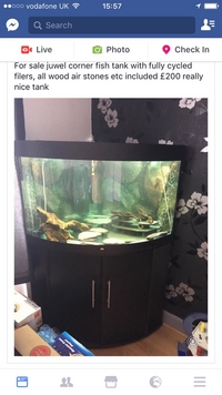 Juwel trigon 190litre tank fully equipped