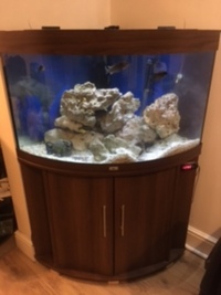 Fish Tank, Juwel Trigon corner tank 190ltr with Fulval G6 Filter