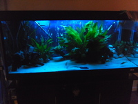 480 litre tank for sale