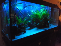 480 LITRE AQUARIUM FOR SALE £400 ONO