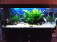 480 LITRE AQUARIUM FOR SALE £400 ONO