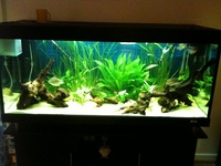 480 LITRE AQUARIUM FOR SALE £400 ONO