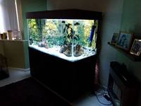 Huge fish tank.New