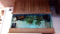 5ft FISH TANK