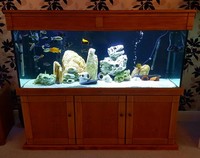 5ft ND Aquatics Aquarium and cabinet