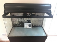 Red Sea max 250 aquarium £300 ONO