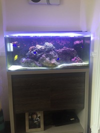 Fluval Sea 140L