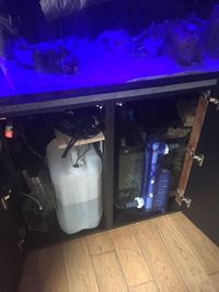 Custom Marine Aquarium - 72 x 30 x 24