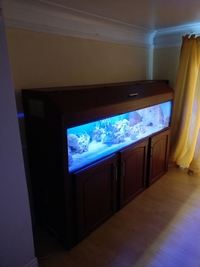 100 Gallon Marine Tank, Twin Weirs, Trickle Filter Sump & Biolfilter Sump