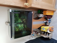 100 Litre Aqua One Tropical Tank For Sale (Includes light, heater, etc) £55