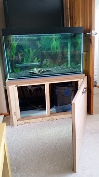 Custom made aquarium