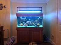 Tank Shutdown - 4x3x2 marine aquarium & equipment