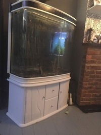 Fish tank