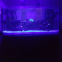 EA Reef salt water fish tank for sale