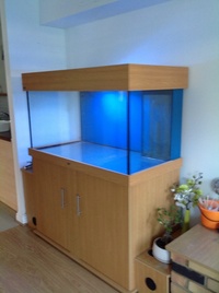 Now sold .ND Aquatics 4 feet tank with sump,pelmet and cabinet