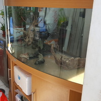 Juwel Vision 450 Aquarium with Cabinet. LEICESTER .