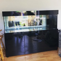 Aquarium - Fish tank - Cabinet - Steel stands - Pelmets - Manufacturer - Brand new - Custom made - Glass tanks