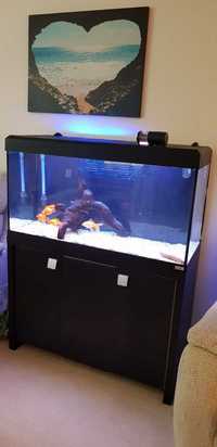 Fluval 200 & Cabinet £150