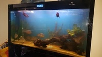 1500mm 5 aquarium for sale