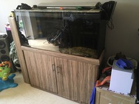 Seabray marine aquarium 48x24x15