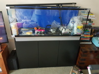 Horizon Aqua One 182 Aquarium & Cabinet £150