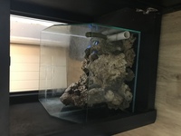 Aqua one 275 - marine aquarium fish tank