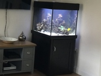 Aqua one 275 - marine aquarium fish tank