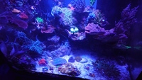 Full marine set up £600