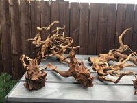 Red Moor Root Wood - Various pieces available from small to large centre pieces