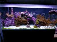 Fluval M90