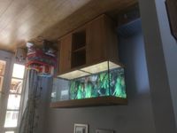 Juwel Rio 240 Aquarium with Cabinet and LED Lighting