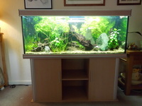 Aqua One 1500mm Fishtank and stand