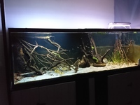 800 L aquarium