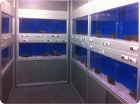 Shop display tanks