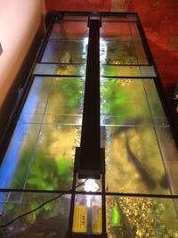 ND Aquatics 550 Litre Tank & Accessories + Fish