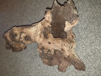 X2 large pieces of bogwood - £15 job lot