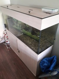 Fish Tank