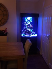 Marine Aquarium