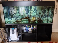 Large Aquarium for sale