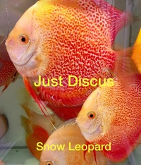 JUST DISCUS BUY 5 GET 1 FREE from ONLY £32 @3-3.5” and thousands of top quality Discus to choose from and the biggest selection in the U.K. Cheapest prices guaranteed.