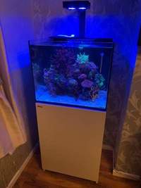 Complete set up. Red sea reefer 170