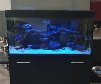 4ft Fish Tank, Full Marine Aquarium Setup