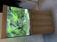 Juwel Lido 200l for sale £300 or nearest offer