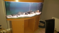 Juwel 450 bow front fish tank