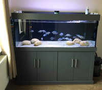 ND Aquatics Tank 5x2x2 in Matt grey with equipment