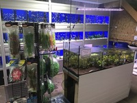 Aquatic Shop Systems & Contents For Sale