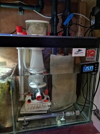 Reef tank and equipment for sale